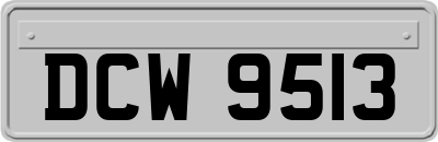 DCW9513