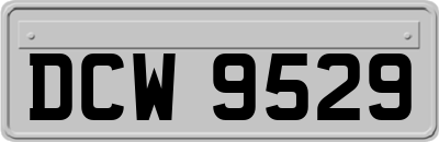 DCW9529