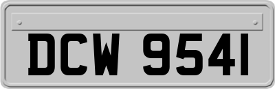 DCW9541