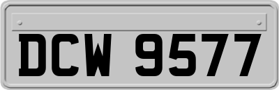 DCW9577
