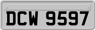 DCW9597