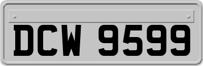DCW9599