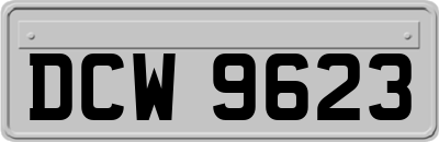 DCW9623
