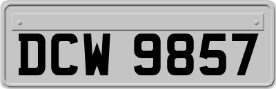 DCW9857