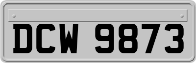 DCW9873