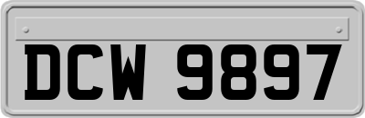 DCW9897