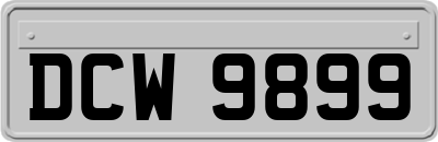DCW9899