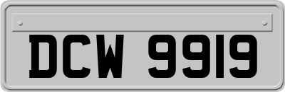 DCW9919