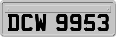 DCW9953