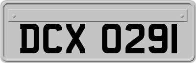 DCX0291