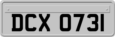 DCX0731