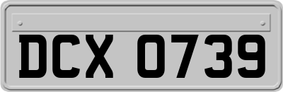 DCX0739