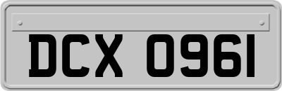 DCX0961