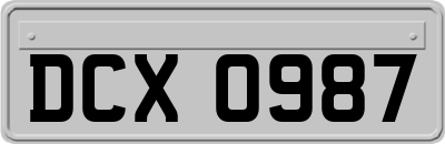 DCX0987