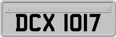 DCX1017