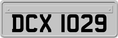 DCX1029