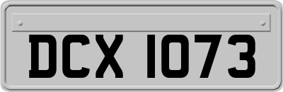 DCX1073