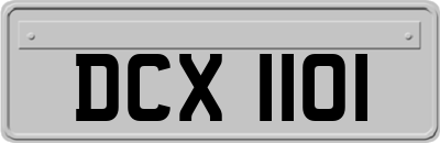 DCX1101