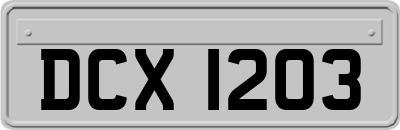 DCX1203