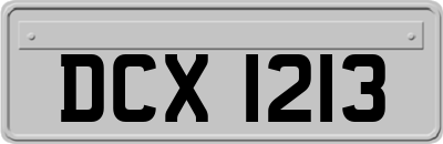 DCX1213
