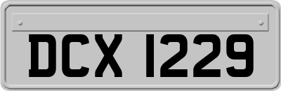 DCX1229