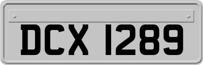 DCX1289
