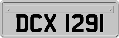 DCX1291