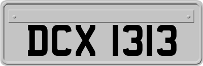 DCX1313