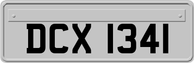 DCX1341
