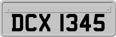 DCX1345