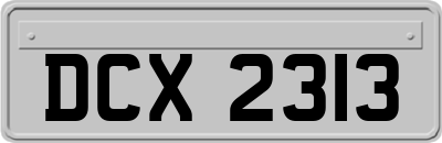 DCX2313