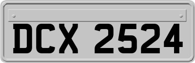 DCX2524