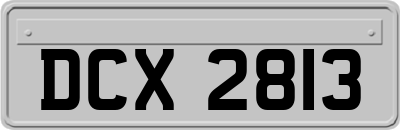 DCX2813