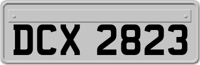 DCX2823