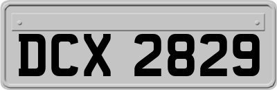 DCX2829