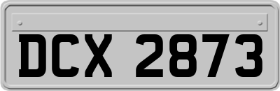 DCX2873