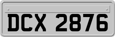 DCX2876
