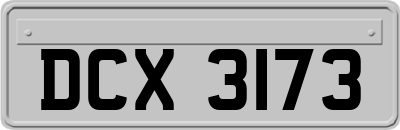 DCX3173