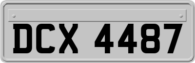 DCX4487