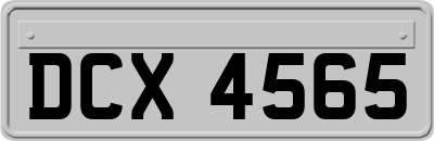 DCX4565