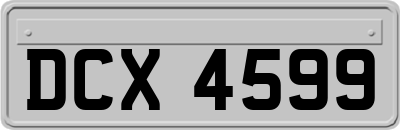 DCX4599