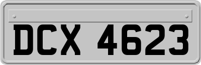DCX4623