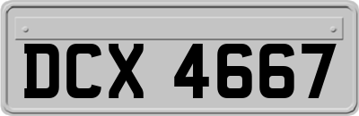 DCX4667