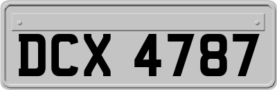DCX4787
