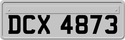 DCX4873