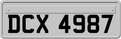 DCX4987