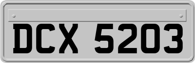 DCX5203
