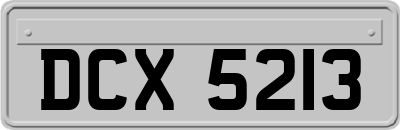 DCX5213