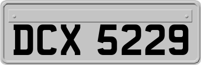 DCX5229