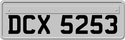 DCX5253